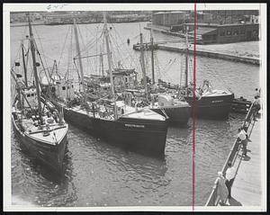 Seeking Haven from possible fury of Hurricane Connie are the fishing boats Sea Ranger, Dartmouth, Agda and Midway (from left), awaiting opening of New Bedford-Fairhaven drawbridge.