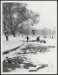 Public Gardens. Weather storms snow