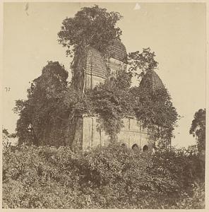 View of a pancharatna temple overgrown with trees, likely West Bengal or Bangladesh