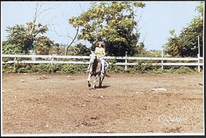 Christina Santos riding Trinity in large ring 1982