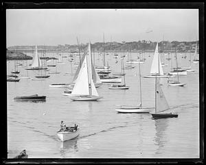 Yachts moored in a harbor
