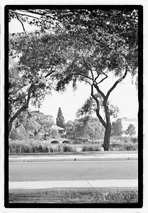 Trees across the street, bridge in background