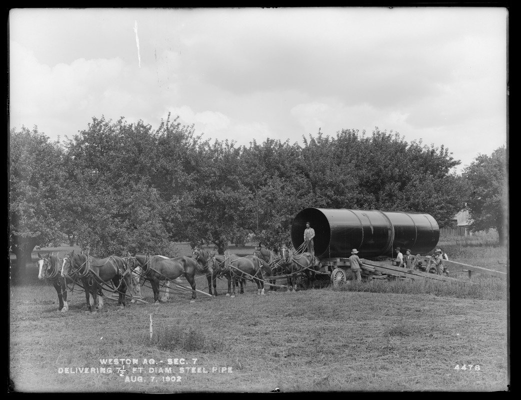 Weston Aqueduct, Section 7, delivering 7 1/2-foot diameter steel pipe, 8-horse team, Framingham; Wayland, Mass., Aug. 7, 1902