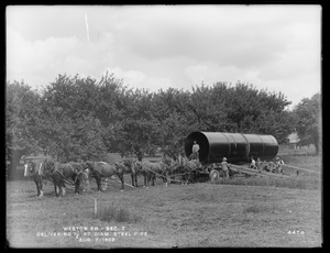 Weston Aqueduct, Section 7, delivering 7 1/2-foot diameter steel pipe, 8-horse team, Framingham; Wayland, Mass., Aug. 7, 1902