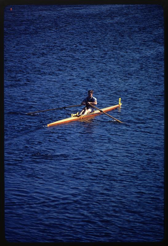 Single sculler on Charles River, Cambridge