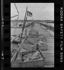 Fishing boats at Salisbury waterfront