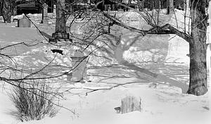 Cemetery in winter