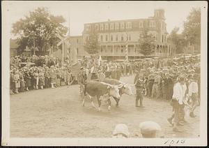 Parade in Railroad Square featuring wagon pulled by pair of oxen