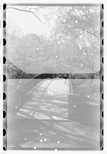 Fenway scenery esplanade bridge