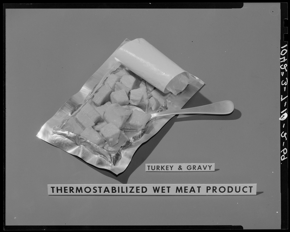 Thermostabilized wet meat product, turkey & gravy