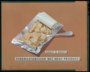 Thermostabilized wet meat product, turkey & gravy