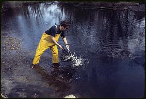 Stocking Pacific Coast "Coho" Salmon