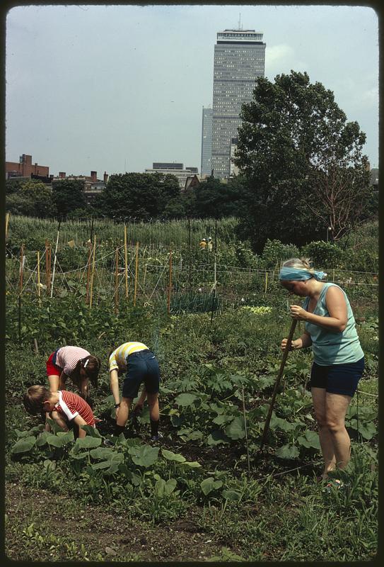 Personal gardens in Fenway