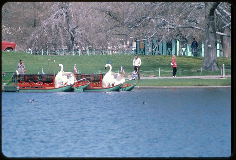 Swan boats, Public Garden, Boston