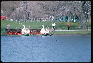 Swan boats, Public Garden, Boston