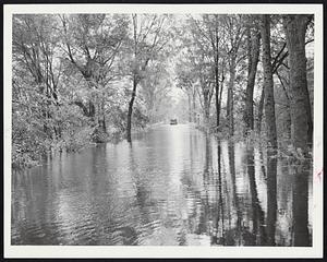 Inland Waterway-This is the Old Sudbury Rd., Wayland, not the Florida Everglades. The Sudbury River, swollen by the six-inch rain that accompanied Hurricane Edna and today's rain, makes slow, careful driving a must.