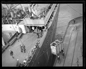 People looking over the side of a ship at a horse being pulled up
