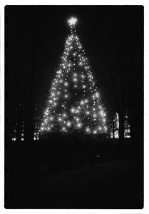 Park Dep. Christmas