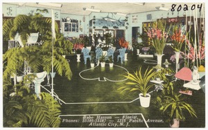 Babe Hasson -- Florist -- 1315 Pacific Avenue, Atlantic City, N. J.