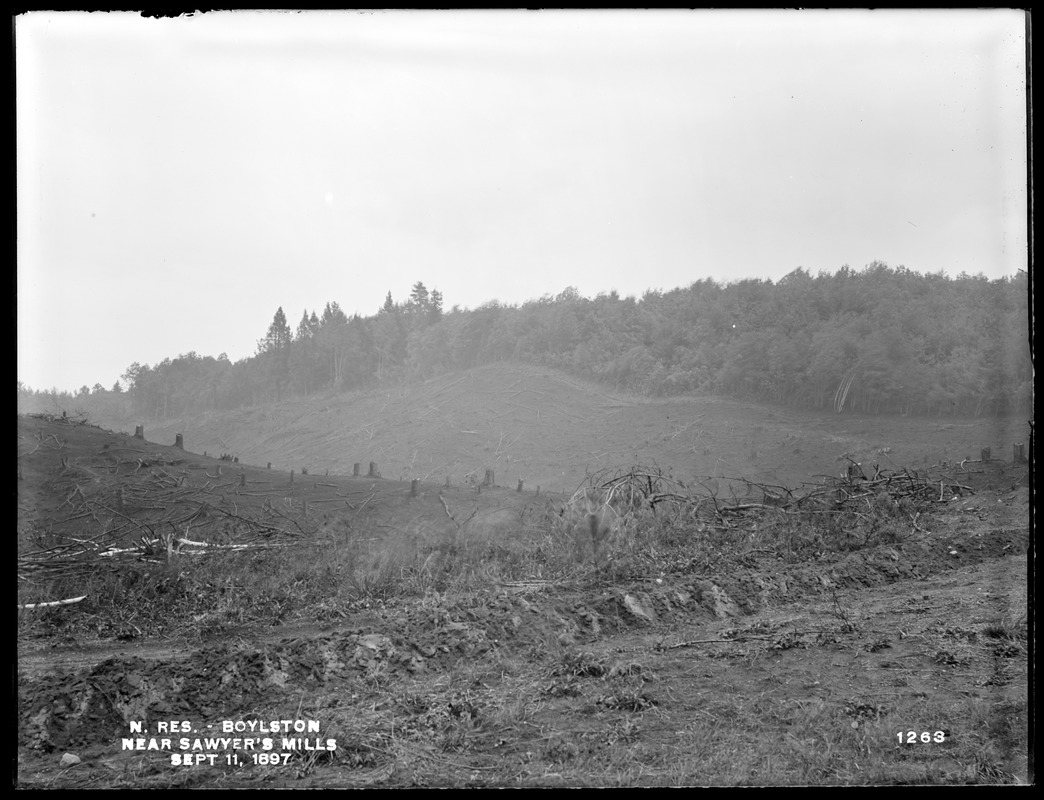 Wachusett Reservoir, land burned over, near Sawyer's Mills, from the west (covers same ground as No. 1260), Boylston, Mass., Sep. 11, 1897