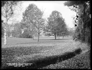 Sudbury Reservoir, Section A, land of Joseph Burnett west of Burnett Road, northern part, from the south, Southborough, Mass., Oct. 20, 1897