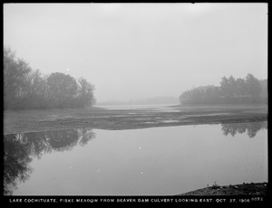 Sudbury Department, improvement of Lake Cochituate, Fiske Meadow from Beaver Dam culvert, looking east, Natick, Mass., Oct. 27, 1906