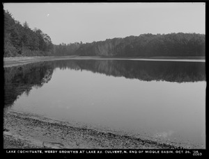 Sudbury Department, improvement of Lake Cochituate, weedy growths at Lake Avenue culvert, north end of middle basin, Natick, Mass., Oct. 26, 1906