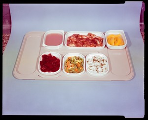 Food lab, hospital food service system