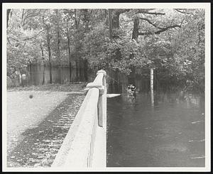 Surface water depth gauge at edge of Ipswich River at Salem Rd Topsfield which reads 40.5 ft above sea level. The normal for this time of year is 24.6 ft.