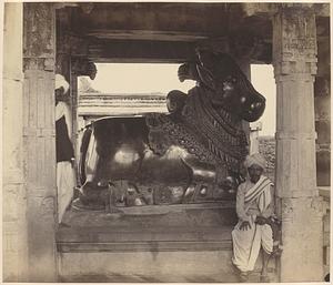 Stone Bull or Basava at Soorvakeray near [illegible]