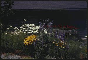 Mrs Pettis garden OOB [Old Orchard Beach] Me.