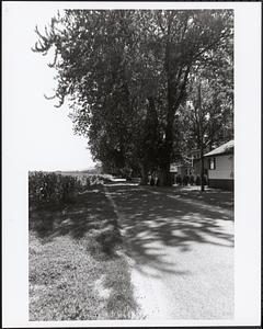 Aqua Vitae Rd. cottages towards Mt. Holyoke