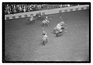 Gen. Needham polo
