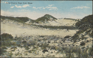 Cape Cod sand dunes