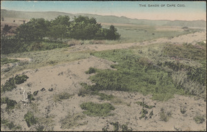 The sands of Cape Cod, Mass.