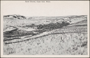 Sand dunes, Cape Cod, Mass.