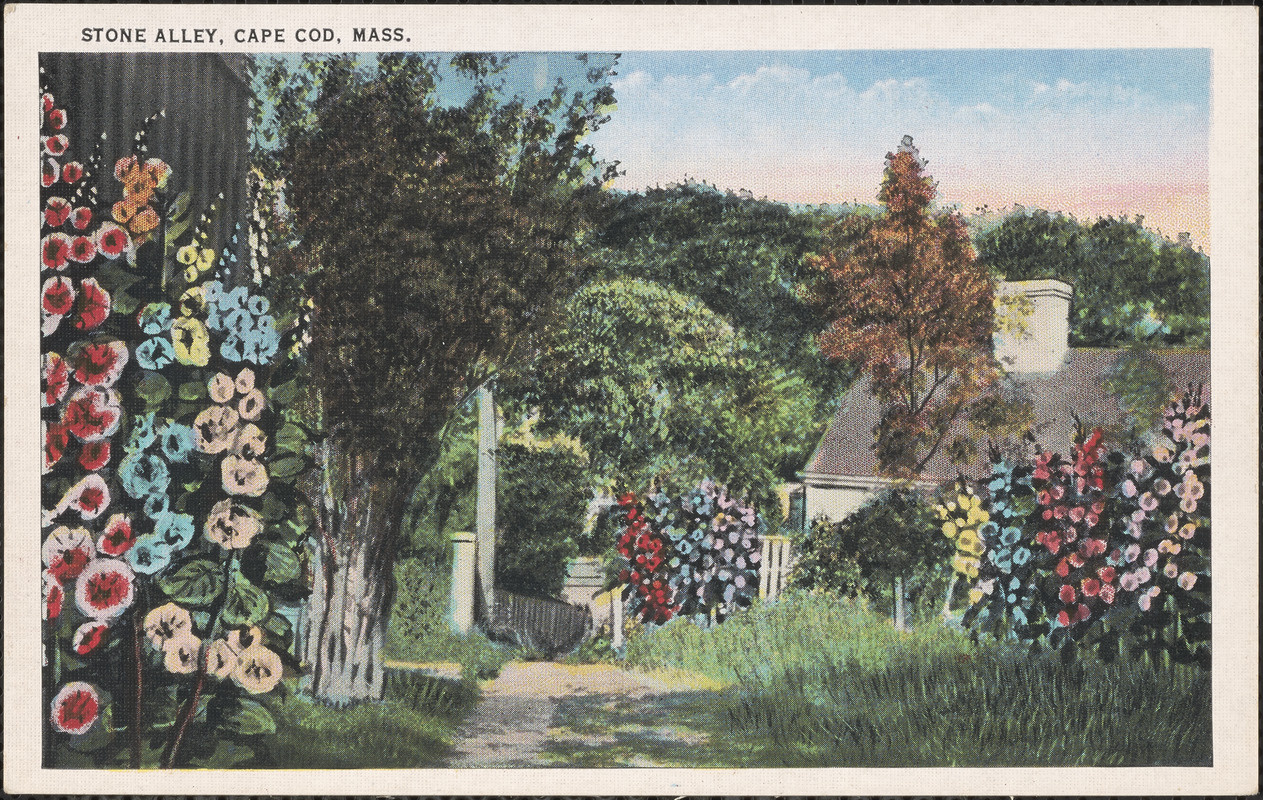 Stone alley, Cape Cod, Mass.