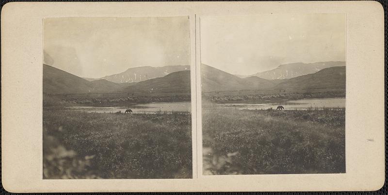 An animal, possibly a bear, by a body of water, mountains in the background