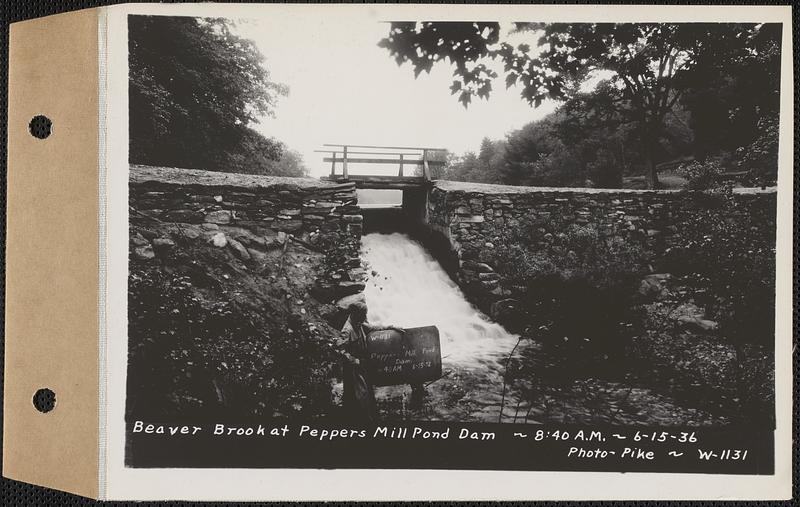 Beaver Brook at Pepper's mill pond dam, Ware, Mass., 840 AM, Jun. 15