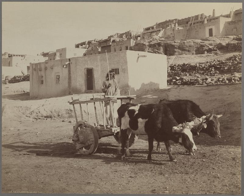 The old carreta, Laguna, N. M.