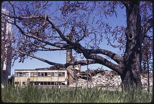 Tree in foreground, demolished building in background