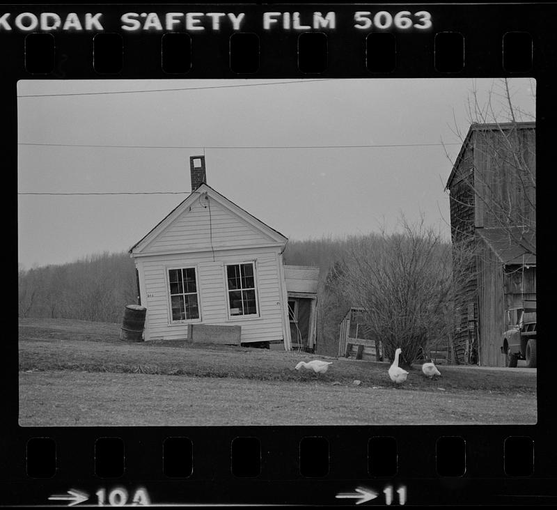 Cooney’s Brown Spring Farm shed