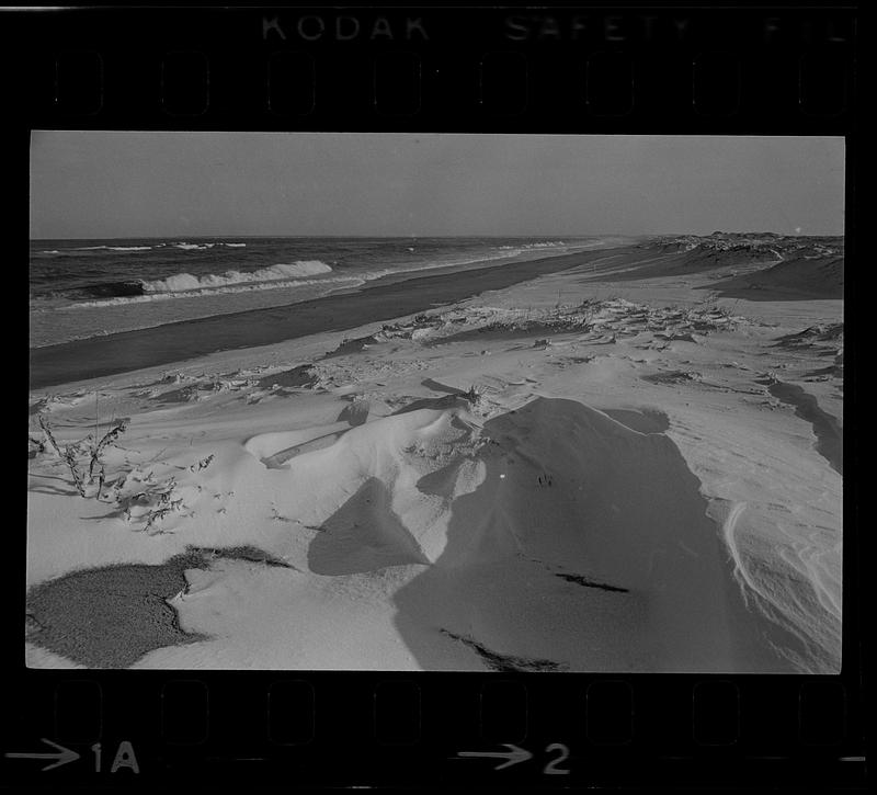 Plum Island winter beach