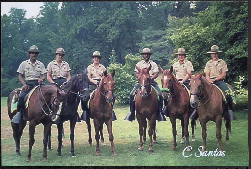 Boston Park Rangers