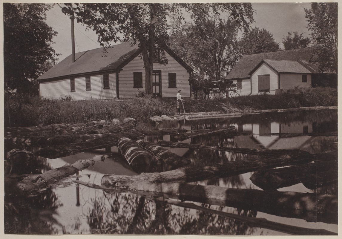 Photograph Album of the Newell Family of Newton, Massachusetts - Ellen Curtis's Saw Mill -