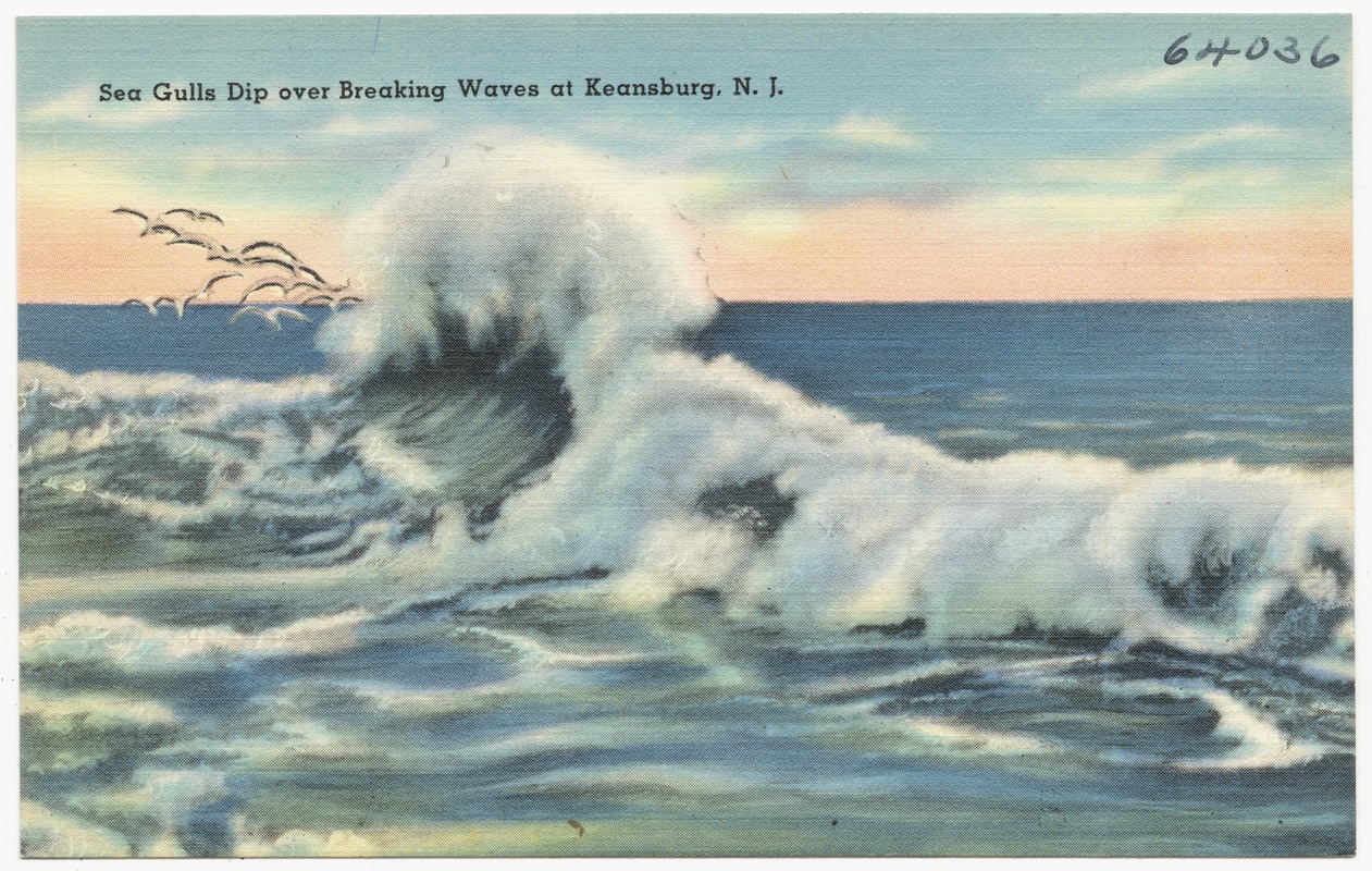 Sea gulls dip over breaking waves at Keansburg, N.J.