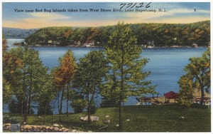View near Bed Bug Islands taken from west shore, Lake Hopatcong, N. J.