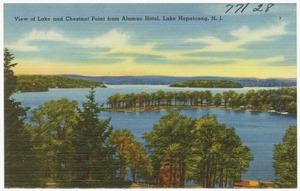 View of Lake and Chestnut Point from Alamac Hotel, Lake Hopatcong, N. J.