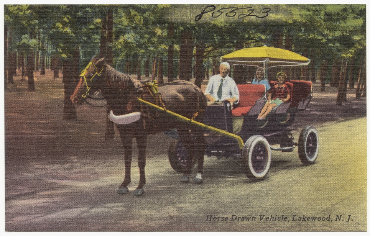 Horse drawn vehicle, Lakewood, N. J.