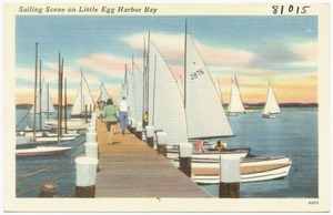 Sailing Scene on Little Egg Harbor Bay